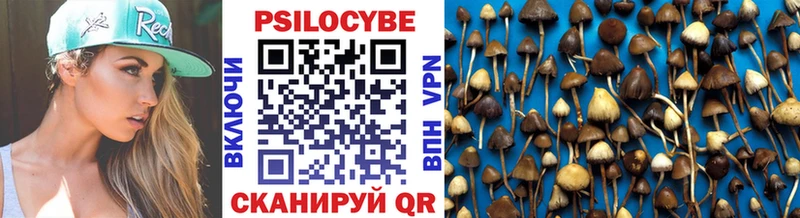 Псилоцибиновые грибы прущие грибы Баксан
