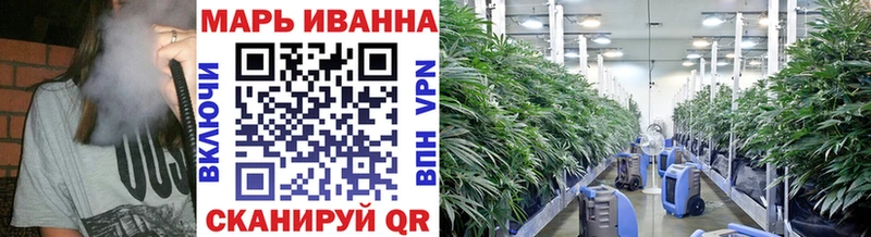 Бошки Шишки планчик  цена   Баксан 